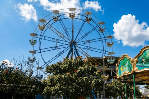 Addis Ababa: Bora Amusement Park Entry Ticket