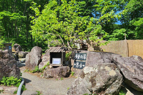 Private Tour to Togakushi Shrine, Castle, Sushi & Onsen From Nagano: Togakushi Shrine & Sushi Lunch