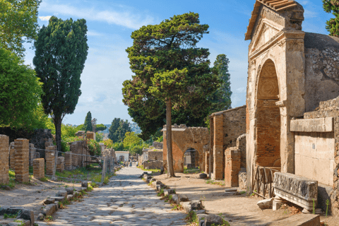 Desde Roma: Pompeya y Herculano en tren de alta velocidad