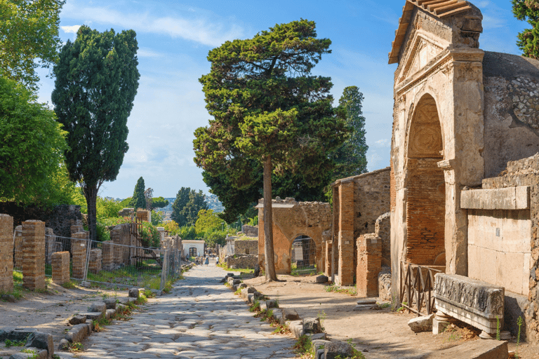 Von Rom aus: Pompeji und Herculaneum Tour mit dem Hochgeschwindigkeitszug