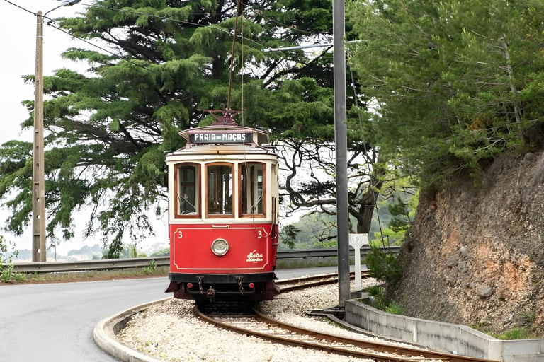 Lisbona: Sintra, Palazzo Pena, Roca Cape Coast e Cascais - 8hTour di 8 ore Sintra Pena Palazzo Giardini Roca Cape Coast Cascais