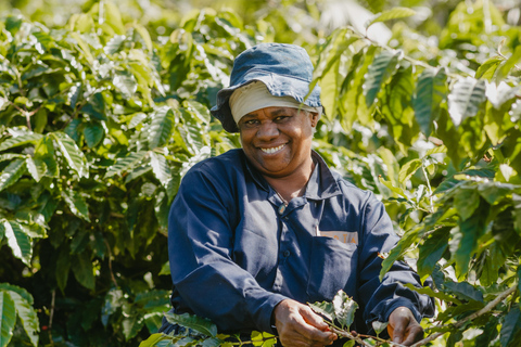 Mauricio: tour guiado a la plantación de café Chamarel
