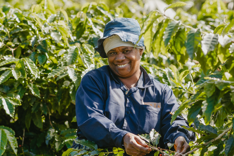 Mauricio: tour guiado a la plantación de café Chamarel