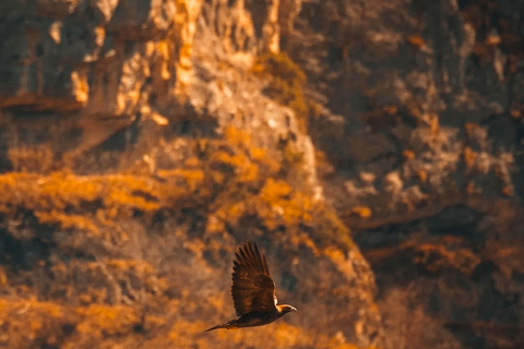 Tesouros naturais do Norte do Azerbaijão em 5 dias