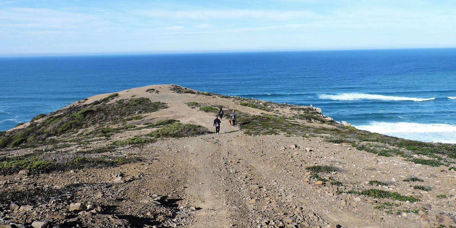 From Vila do Bispo: Guided Hike at Cordoama Cliffs