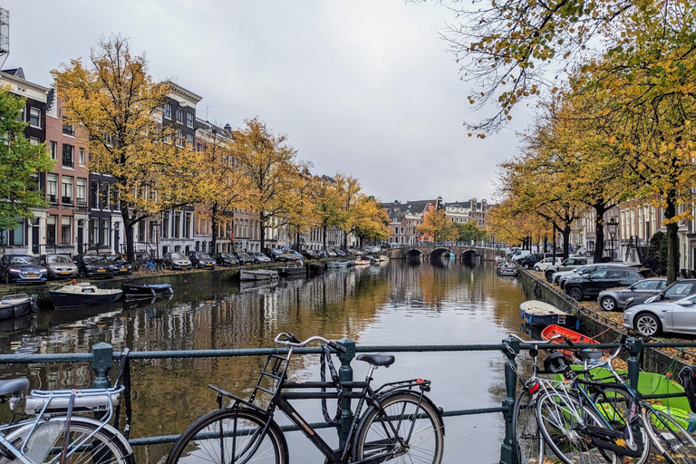 Amsterdam: Layover Flight Private Guided Tour (3h, 4h or 5h) Amsterdam Private Guided Tour for Layover Flight 4 hours