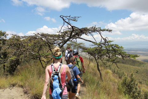 Excursión de un día al Monte Longonot desde Nairobi