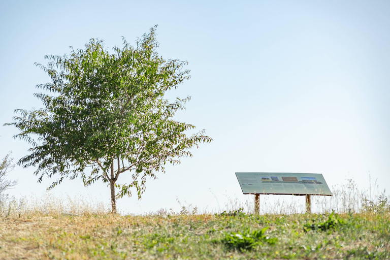 Aix-en-Provence: Guided tour of the Jardins du Roy and the Calisson Museum Le Roy René: guided tour of the King's Gardens and the Calisson Museum