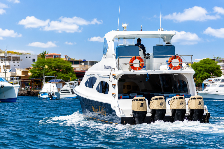 Fast Ferry from San Cristobal to Santa Cruz l with Comfortable Seats Fast Ferry from San Cristobal to Santa Cruz with Comfortable Seats