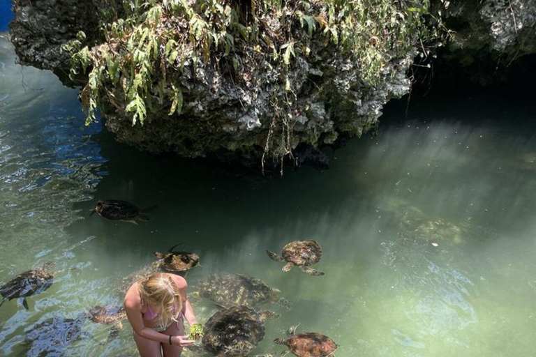 ZANZIBAR: Sea Turtle Swimming & Feeding Experience in NUNGWI