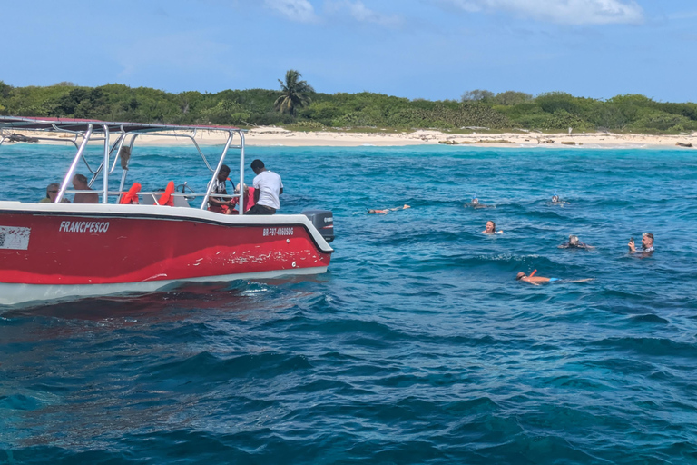 Au départ de Saint-Domingue : excursion d&#039;une journée à l&#039;île CatalinaDepuis Saint-Domingue : excursion d&#039;une journée sur l&#039;île Catalina