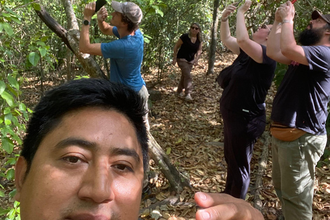 Bacalar: Calakmul Ruins Day Trip with a Stop In The Jungle