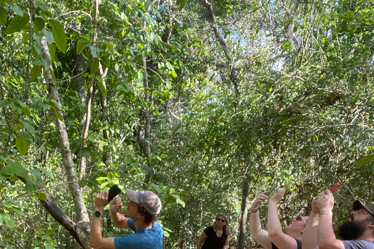 Bacalar: Calakmul Ruins Day Trip with a Stop In The Jungle
