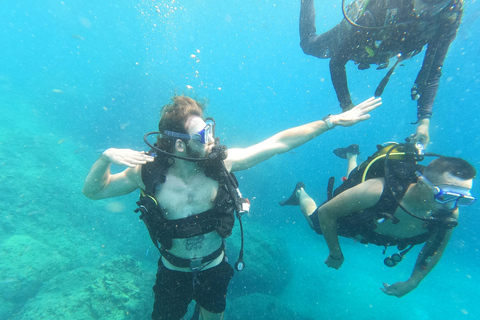 Unforgettable Diving Experience: From Beginners to Advanced