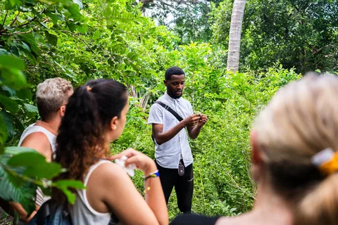 Zanzibar: Fengselsøya, skilpadde, Jozani-skogen - guidet tur