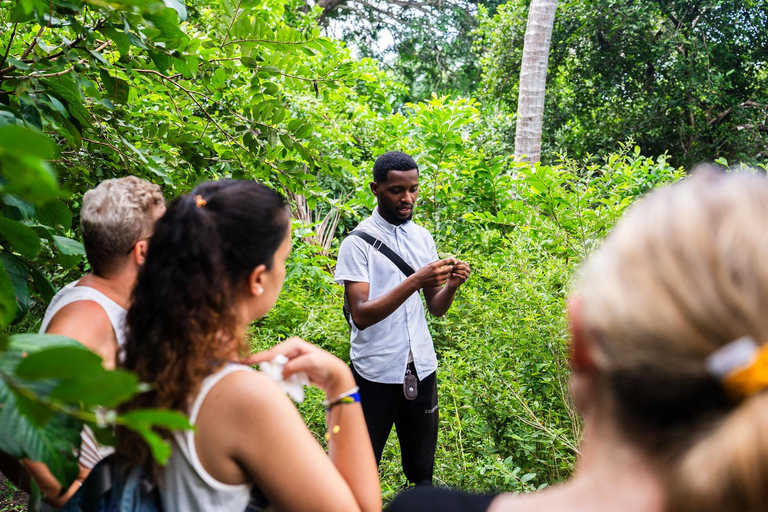 Secret Beach, Kuza Cave and Jozani forest with transfer