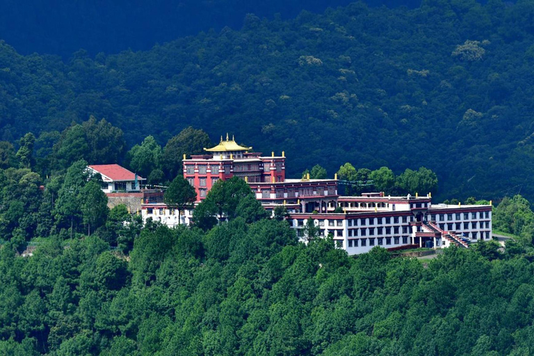 Kathmandu: Buddhist Monasteries Tour with Lunch
