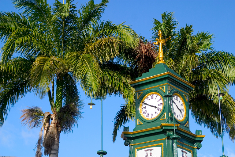 Basseterre: tour della capitale e della spiaggiaOpzione standard