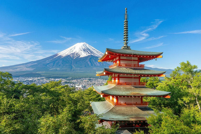 Mt. Fuji & Hakone Tour: Arakurayama, OshinoHakkai, Owakudani Tokyo Station | 7:30 AM Departure with English Guide