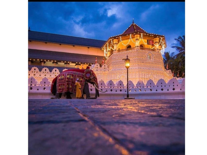 Tour Della Città Di Kandy In Auto Scopri Le Meraviglie Culturali