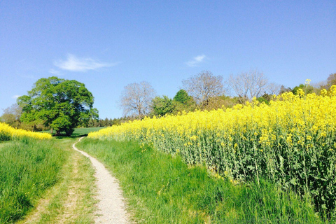 Durban-Tour mit Golf-Erlebnis 7 Tage/6 Nächte
