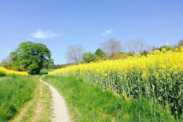 Durban-Tour mit Golf-Erlebnis 7 Tage/6 Nächte