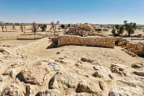 塞拉莱：全天沙漠越野之旅（含午餐）塞拉莱：全天沙漠探险之旅（含午餐）