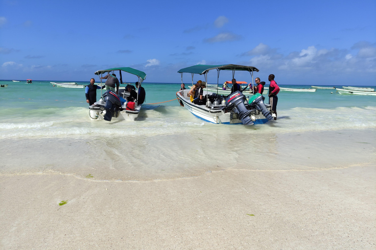 Zanzibar: Upptäck dykningKizimkazi: Menai Bay – upptäck dykning