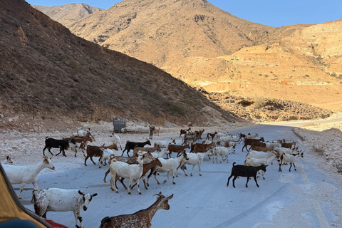 Discover West Salalah: Full-Day Tour by Safari Salalah Tours