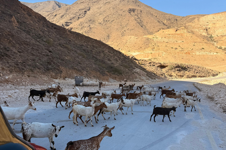 Discover West Salalah: Full-Day Tour by Safari Salalah Tours