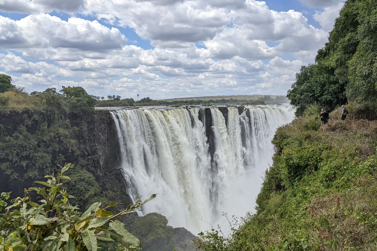 Victoria Falls: Guided Tour with Optional Activities