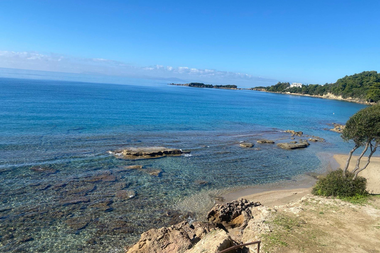 Ancient Olympia: Agrotourism tour, honey, wine, and oil tasting.