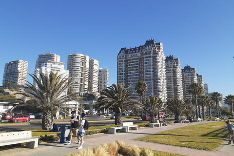 比尼亚德尔马、雷尼亚卡和康康之旅