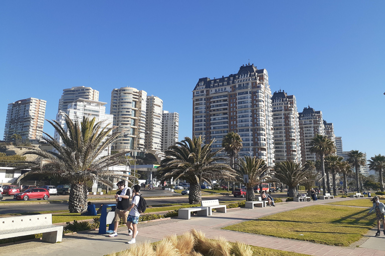 比尼亚德尔马、雷尼亚卡和康康之旅