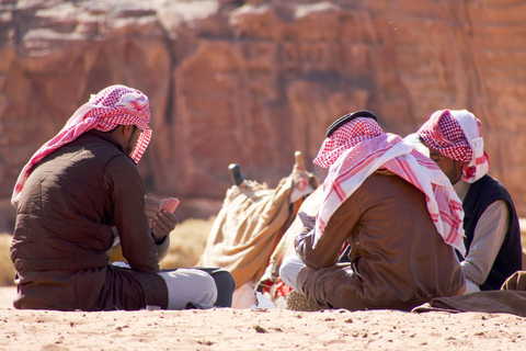 From Petra: Visit wadi rum back to Amman or Amman Airport