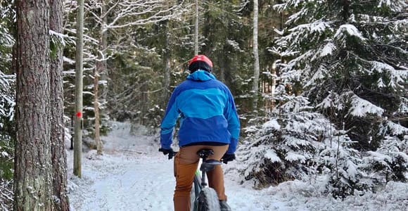 Stockholm: Fat Bike Waldabenteuer mit Mittagessen und Sauna