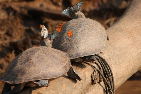 Puerto Maldonado: Tambopata River Sunset & Wildlife Safari