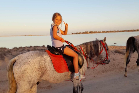 Djerba: Crossing the Lagoon on Horseback at Sunset Djerba: Horseback ride across the lagoon at sunset