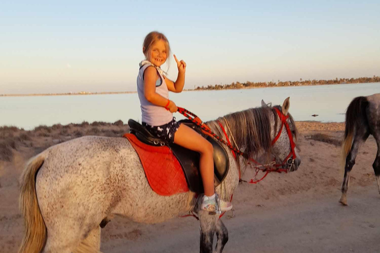 Djerba: Crossing the Lagoon on Horseback at Sunset Djerba: Horseback ride across the lagoon at sunset