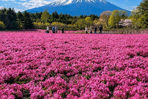 Tokyo: Mount Fuji & Pagoda & Oshino Hakkai & Lake Kawaguchi Route B : Mount Fuji & Hakone Private Customizable Day Trip