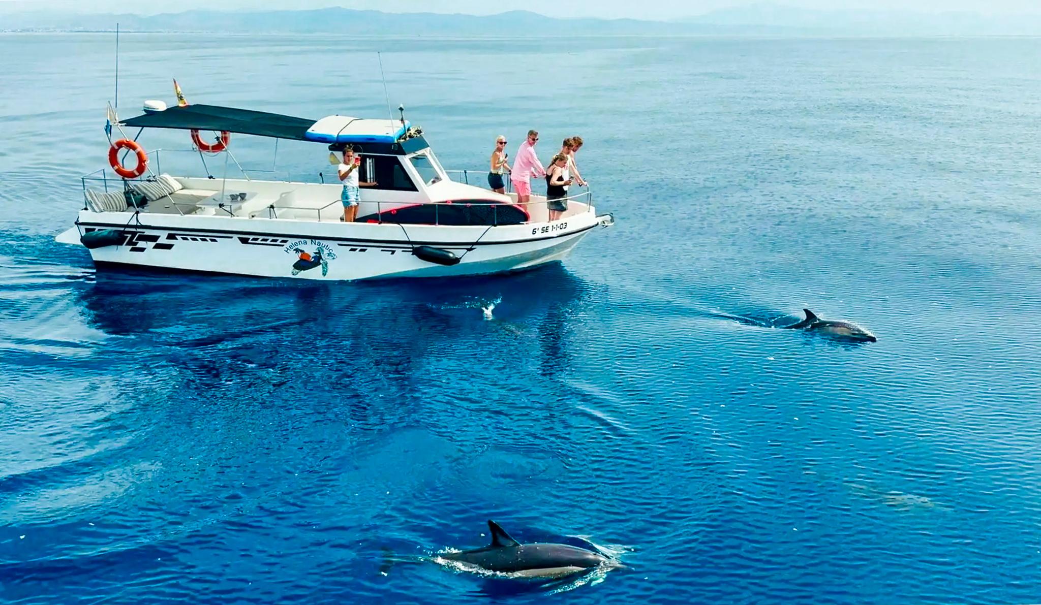 Benalmádena: Privates Boot: Getränke/Snacks, Aktivitäten und Delfine