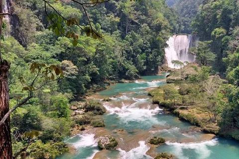 Depuis Palenque : visite privée de la cascade d'El Salto
