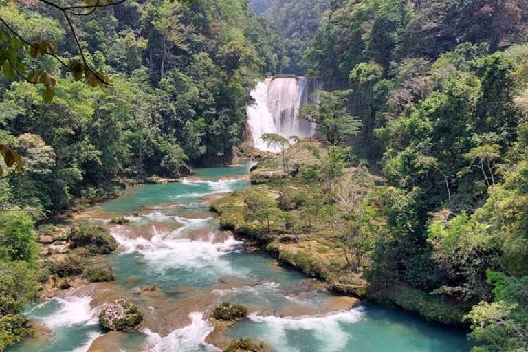 Depuis Palenque : visite privée de la cascade d'El Salto