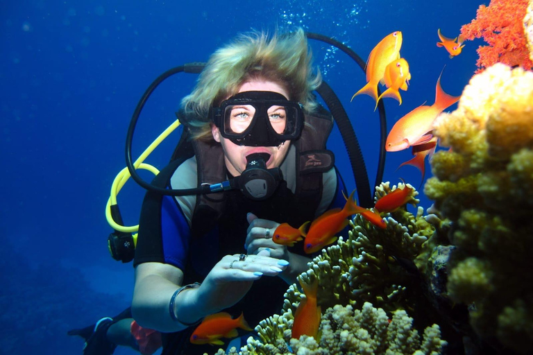 Depuis Sharm El-Sheikh : Excursion de plongée en apnée à Ras MohammedCroisière à Ras Mohammed et sur l'île blanche