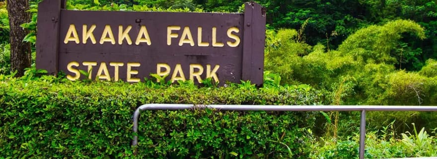 Hilo : visite guidée des chutes d'Akaka, des volcans et des chutes Rainbow