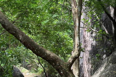 From Colombo: Gampaha District Temples & Jungle Hike Tour