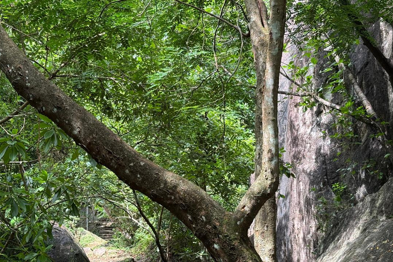 From Colombo: Gampaha District Temples & Jungle Hike Tour