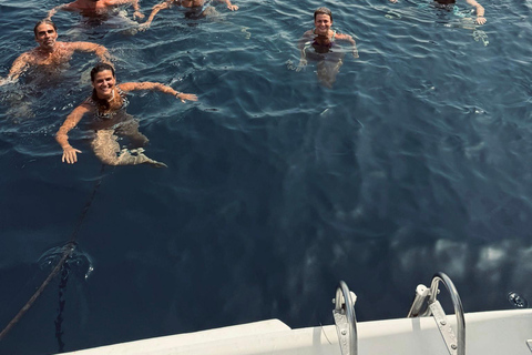 Luxury Catamaran Cruise Along Algarve Coast Half-day Luxury Catamaran Experience - Portimão