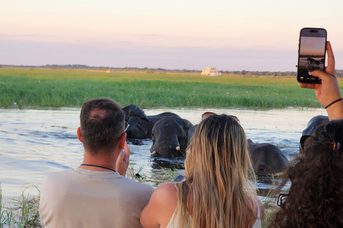 Chobe National Park Day Trip from Victoria Falls with Lunch