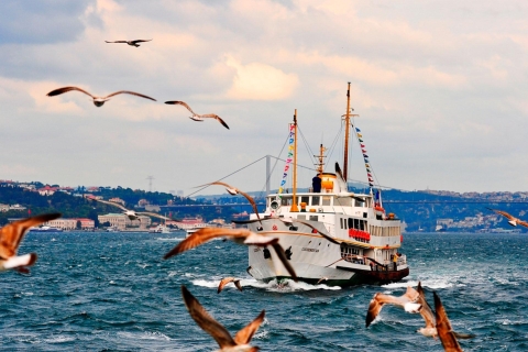 Istanbul: Bosphorus Morning or Sunset Cruise Stop Asian Side Bosphorus Morning Cruise 1 hour Stop in Asia